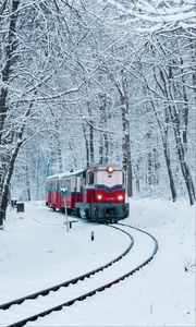 Превью обои поезд, железная дорога, снег, лес
