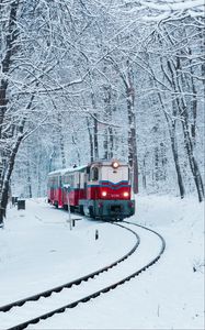 Превью обои поезд, железная дорога, снег, лес