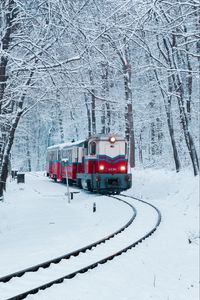 Превью обои поезд, железная дорога, снег, лес