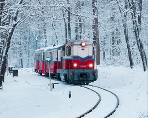 Превью обои поезд, железная дорога, снег, лес