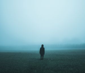 Превью обои поле, человек, туман