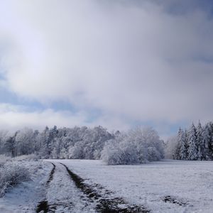 Превью обои поле, деревья, дорожка, снег, зима