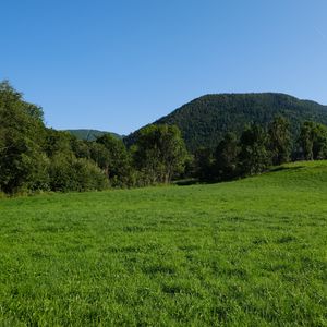 Превью обои поле, деревья, холмы, природа, пейзаж
