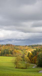 Превью обои поле, деревья, лес, облака, небо, природа