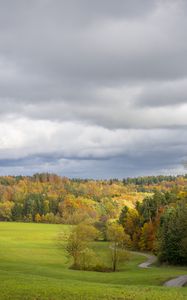 Превью обои поле, деревья, лес, облака, небо, природа