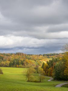 Превью обои поле, деревья, лес, облака, небо, природа