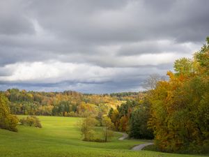 Превью обои поле, деревья, лес, облака, небо, природа