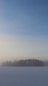 Превью обои поле, деревья, лес, туман, снег, зима, небо, природа