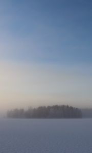 Превью обои поле, деревья, лес, туман, снег, зима, небо, природа