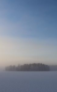 Превью обои поле, деревья, лес, туман, снег, зима, небо, природа