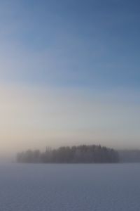 Превью обои поле, деревья, лес, туман, снег, зима, небо, природа