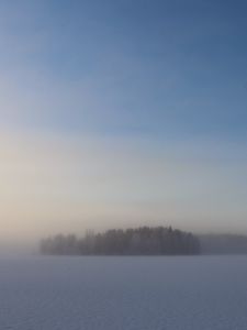 Превью обои поле, деревья, лес, туман, снег, зима, небо, природа