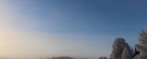 Превью обои поле, деревья, лес, туман, снег, зима, небо, природа