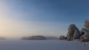 Превью обои поле, деревья, лес, туман, снег, зима, небо, природа