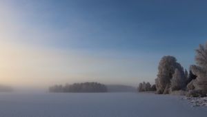 Превью обои поле, деревья, лес, туман, снег, зима, небо, природа