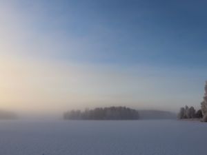 Превью обои поле, деревья, лес, туман, снег, зима, небо, природа