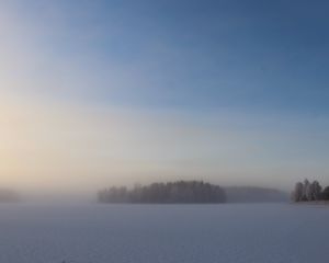 Превью обои поле, деревья, лес, туман, снег, зима, небо, природа