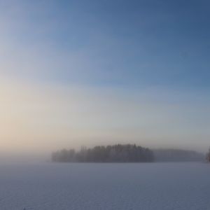 Превью обои поле, деревья, лес, туман, снег, зима, небо, природа