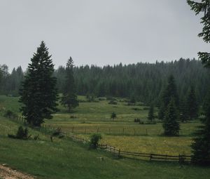 Превью обои поле, деревья, лес, забор, дорога, пейзаж