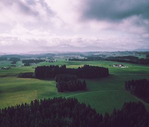 Превью обои поле, деревья, небо, вид сверху