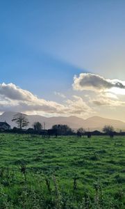 Превью обои поле, деревья, облака, горы, пейзаж
