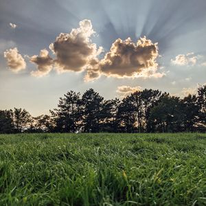 Превью обои поле, деревья, облака, лучи, свет, пейзаж