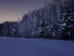 Превью обои поле, деревья, снег, зима, ночь