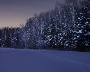 Превью обои поле, деревья, снег, зима, ночь