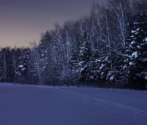 Превью обои поле, деревья, снег, зима, ночь