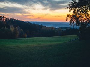 Превью обои поле, деревья, сумерки, холмы, пейзаж