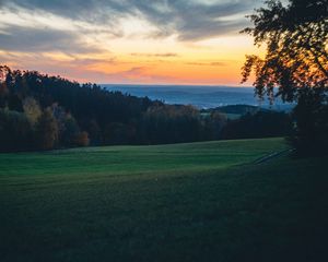 Превью обои поле, деревья, сумерки, холмы, пейзаж