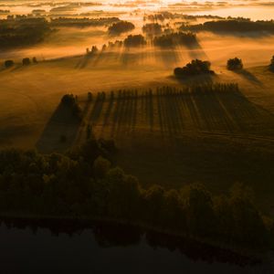 Превью обои поле, деревья, трава, лучи, тень