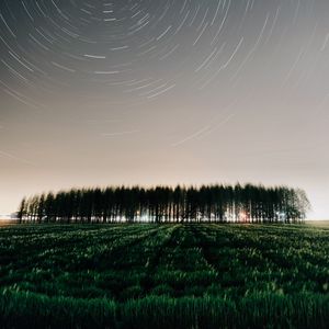 Превью обои поле, деревья, звезды, длинная выдержка