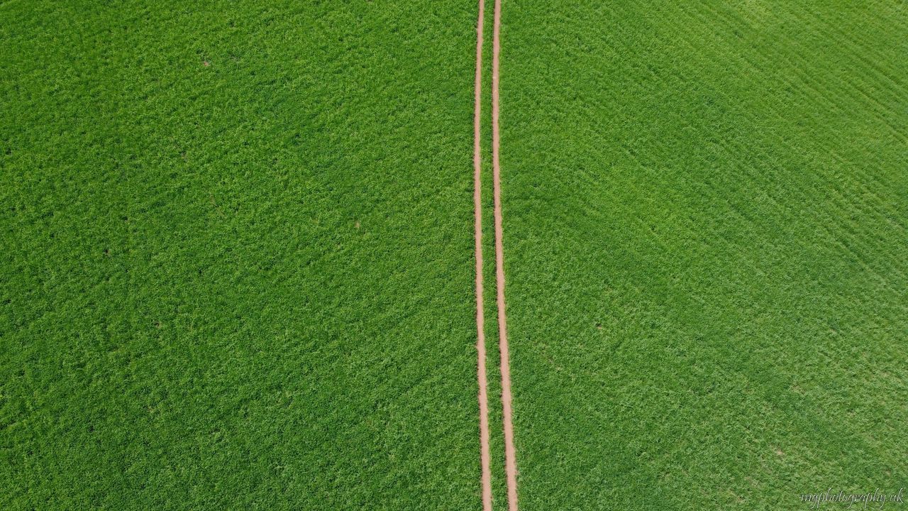 Вид сверху дорога для фотошопа