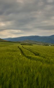 Превью обои поле, горы, холмы, пейзаж