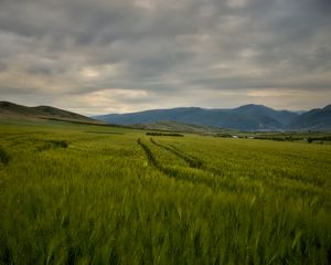 Превью обои поле, горы, холмы, пейзаж