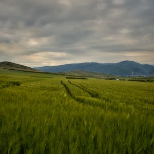 Превью обои поле, горы, холмы, пейзаж