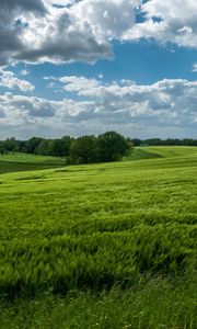 Превью обои поле, холмы, деревья, пейзаж, природа, зеленый