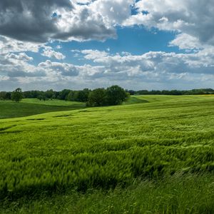 Превью обои поле, холмы, деревья, пейзаж, природа, зеленый