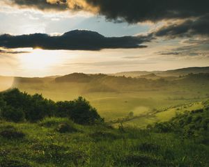 Превью обои поле, кусты, лучи, облака, блеск