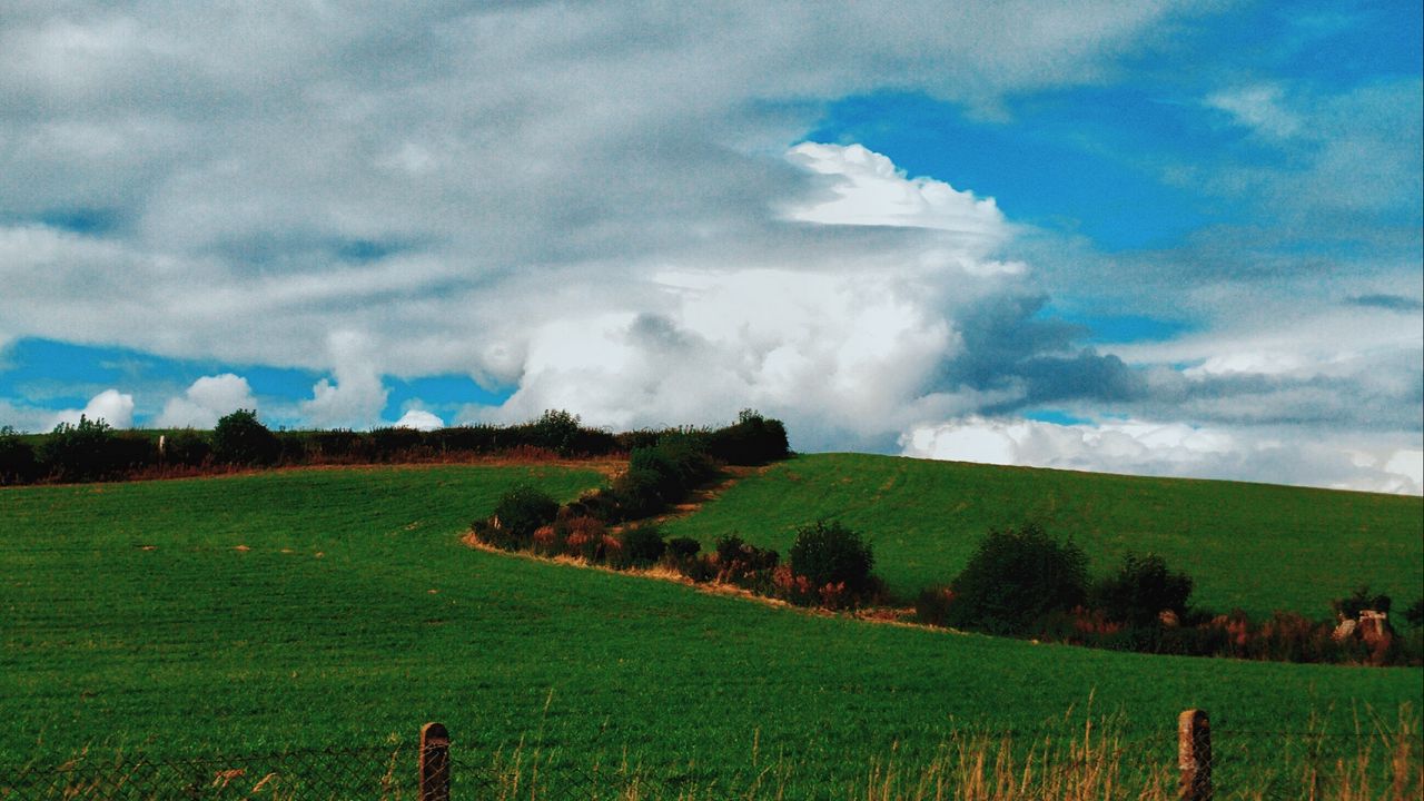 Обои поле, лето, трава, небо, облака