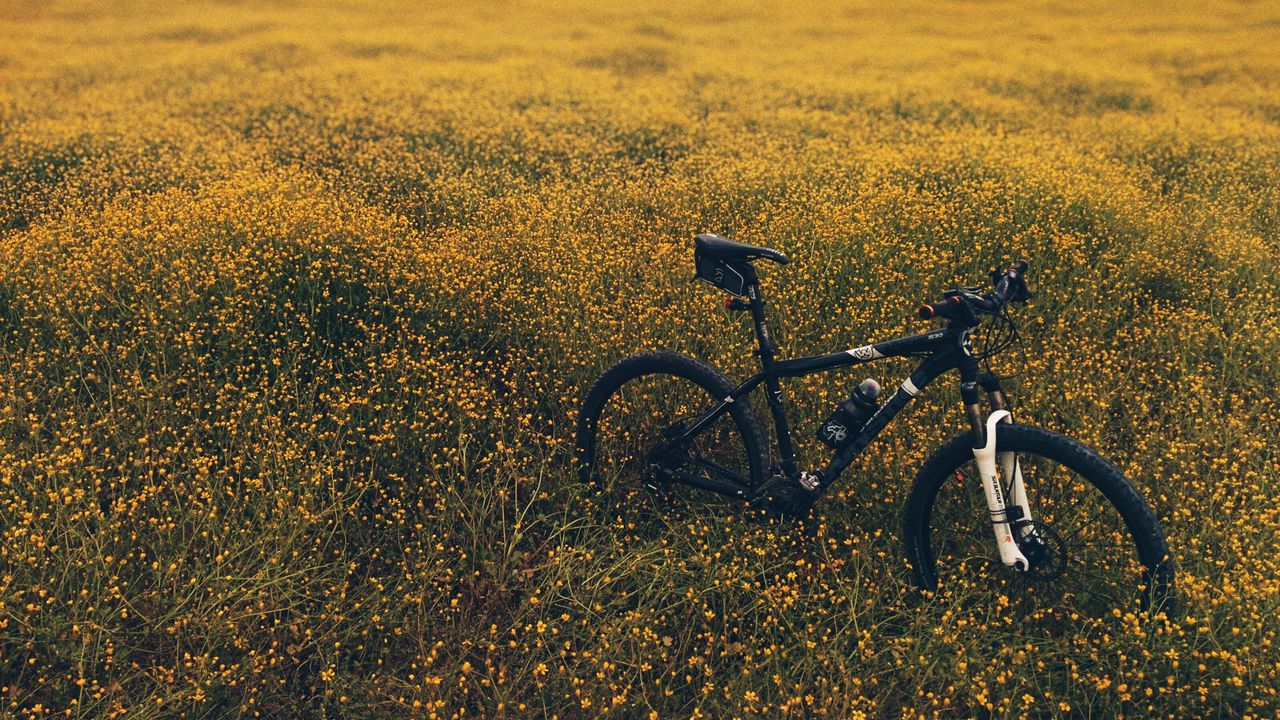 Обои поле, луг, трава, велосипед, цветы