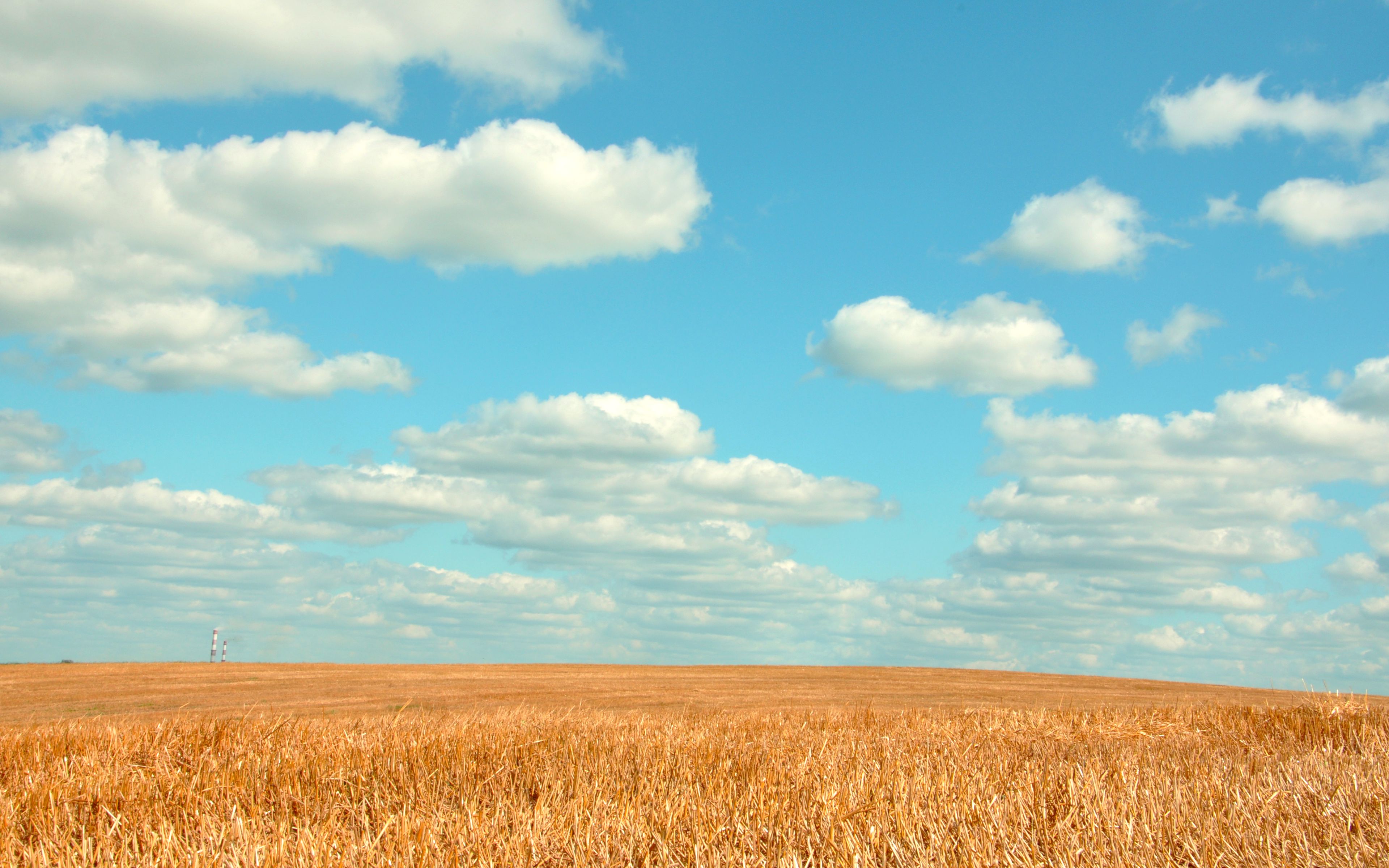 Пшеничное поле с облаками