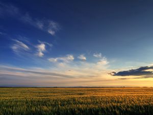 Превью обои поле, небо, облака, закат, просторы