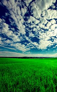 Превью обои поле, небо, трава, облака, зеленый, лето