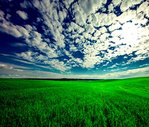Превью обои поле, небо, трава, облака, зеленый, лето