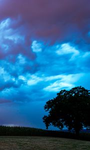 Превью обои поле, облака, молнии, шторм, дерево