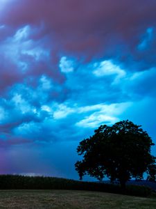 Превью обои поле, облака, молнии, шторм, дерево