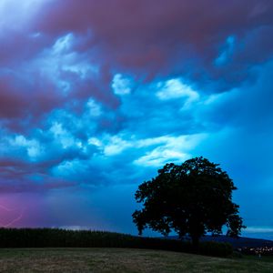 Превью обои поле, облака, молнии, шторм, дерево