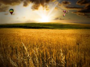Превью обои поле, осень, воздушные шары, полет, цвета, краски, солнце, свет, вечер, закат